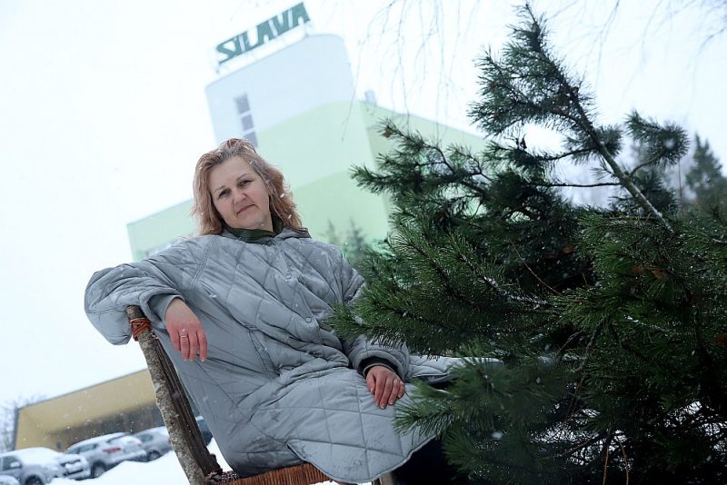 Kārklus nevajadzētu audzēt tikai vienam mērķim, piemēram, šķeldai, bet jāraugās plašāk, jo tie ir izmantojami gan žogiem, rokdarbiem un mēbeļu ražošanā, gan farmācijā un kosmetoloģijā, tie ir vērtīgi nektāraugi, norāda “Silava” vadošā pētniece Dagnija Lazdiņa.