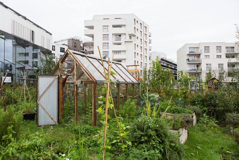 “Greenbizz” – videi nekaitīgas un ilgtspējīgas ekonomikas attīstības centrā Briselē darbojas inovatīvi jaunuzņēmumi, un koplietošanas dārziņā no apkārtējā teritorijā atrodamiem materiāliem uzbūvēta siltumnīca.