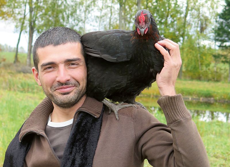 “Esam gatavi vistas turēt iekšā kūtī. Olas tirgojam uz vietas saimniecībā, jau pērn sapratām, ka tas izdevīgāk nekā izbraukuma tirdzniecībā, kuru jebkuru brīdi arī var aizliegt – te kovida, te putnu gripas dēļ,” teic “Indrānu dārzu” saimnieks Pāvels Mazjarkins.